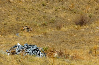 Uzak bölgelerdeki metal atıklarının geri dönüşümü için bir çözüm. Çevreyi temizlemek için yerel topluluklarla işbirliği yapmak. Metal atıkların toplanması ve geri dönüşümü için hizmetler.