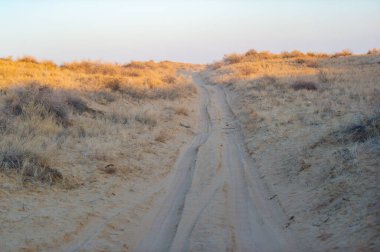 Sonbahar bozkırlarındaki günbatımının büyüleyici güzelliğini hisset. Kum tepeciklerinin sıcak renklerde büyüleyici mobilyalarda nasıl canlandığına bakın. Kendini doğaüstü bir ışıltıya batır,