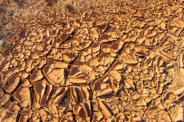 Doku. Kil ve güneşin hüküm sürdüğü bir dünyaya dalın ve çöl ateşli başyapıtını sunsun! Bu çöl kum tepeciğinin nefes kesici manzarasına tanık olun.,