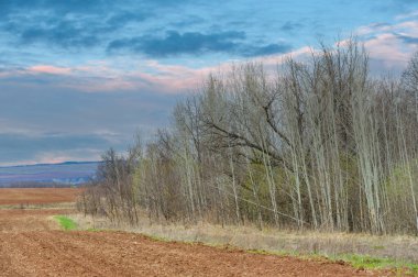 Günbatımının çarpıcı güzelliğinin tadını çıkarın. Doğa ve kırsal yaşamın mükemmel bir uyum içinde nasıl bir araya geldiğini görün. Dokunulmamış doğanın kırsal yaşamın dinginliğiyle nasıl birleştiğine bakın..