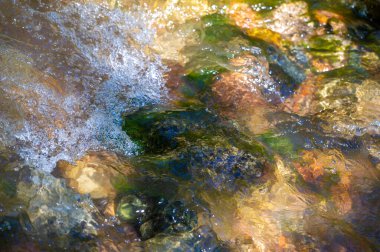 Kendini el değmemiş vahşi doğaya daldır. Bir dağ deresinde suyun ritmik dansını hisset. Her taşın karmaşık detaylarını takdir et. Suyun üzerindeki parıldayan ışığa tanık olun..