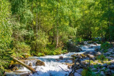 Büyüleyici bir dağ deresindeki doğanın güzelliğini hisset. Toprak ve suyun ahenkli buluşmasına tanık olun. Taşların ve çağlayan suyun yarattığı senfoniyi dinle..