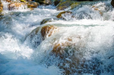 Kendinizi bu büyüleyici dağ akıntısıyla doğanın senfonisine daldırın. Yumuşak kayaların üzerinde akan suyun rahatlatıcı sesini hisset..