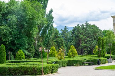Huzur ve Majesteleri: Uzun ağaçlar ve görkemli dağlarla çevrili bu manzaralı yolda seyahat edin. Doğanın dinginliği duyularınızı kucaklasın ve ruhunuza ilham versin. 2021 06 10 Kazakistan Almatı