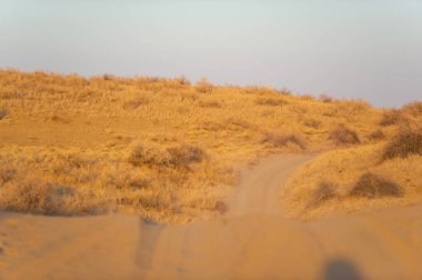 Sonbahar. Steppe. Gün batımı. Kumullar. Güneş veda ederken kum tepecikleri, ruhu ateşleyen ruhani bir parıltı saçan sıcak renklerden oluşan parlayan bir tuvale dönüşür. Günbatımı Sihri