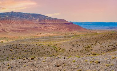 Boguty 'nin Kızıl Dağları. Bu bir serap mı yoksa kaya mı? Gerçek bir çöl illüzyonistine tanık olun! Bu kaya kusursuz kamuflajıyla bizi kolayca aldatır ve çorak araziye karışır. Aldatma Kayası