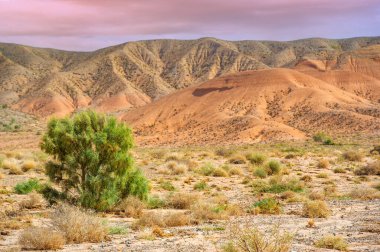Boguty 'deki dağlarda gün batımının nefes kesici güzelliğinin tadını çıkar. Gökyüzünün turuncu ve kırmızının canlı tonlarına dönüşünü izleyin. Kendinizi Kızıl Dağların görkemli manzarasına daldırın..