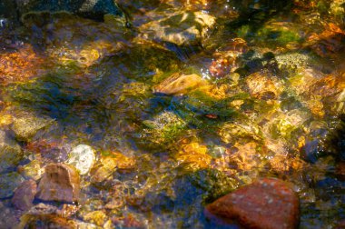 Kristal berrak su yosun kaplı kayaların üzerinden akarken bu güzel derenin sükunetini içine çek. Bırak rahatlatıcı sesler ve ferahlatıcı atmosfer günlük hayatın stresinden arınsın..