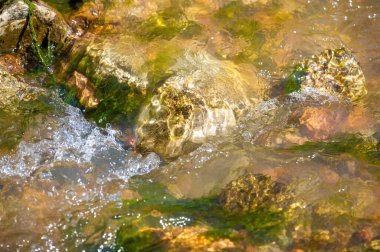 Dokunulmamış vahşi doğada bir maceraya atılmak. Bir dağ deresinde suyun ritmik dansını keşfedin. Her taşın karmaşık detaylarına hayran kaldım. Işığın parıldayan oyununa tanık olun..