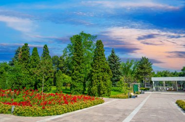 Canlı çiçeklerin ve uzun ağaçların huzurlu bir yürüyüş ya da güneşli bir piknik için mükemmel bir ortam yarattığı bir botanik vahasını ziyaret edin. Huzuru en iyi şekilde tecrübe et. Çiçek Cenneti. Doğa yürüyüşü