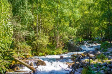 Mountain Creek. Taş suyu. Hayat sana taş attığında, bir dağ deresi gibi zarafetle akarsın. Akışına bırak.