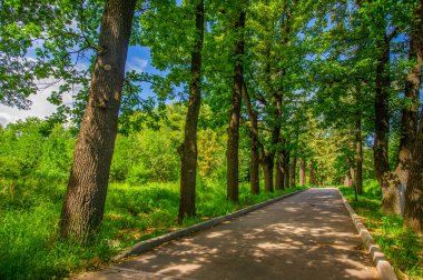 Park sokağı. Görkemli ağaçların taçlarına sarılı sakin bir yol sizi gezinmeye ve doğanın sükunetine dalmaya davet ediyor. Doğa Kaçışları, Daha Az Yolculuk Yolu