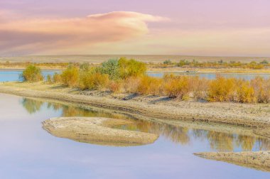 Geçiciliğin güzelliği: Bozkırdaki bir nehrin akan sularının yanında tek başına duran ölü bir ağacın görüntüsünde yaşam ve ölümün büyüleyici birlikteliğine tanık olun. Yaşam Döngüsü