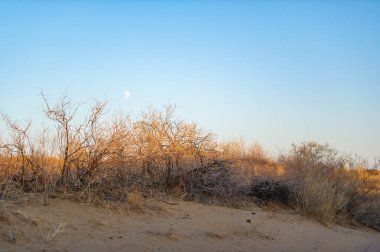 Sonbahar. Steppe. Gün batımı. Gün batımında çölün dingin güzelliğinin tadını çıkar. Bak güneş ne kadar zarifçe batıyor, kum tepelerine ateşli bir palet döküyor. Sonbaharın huzuruna dalın