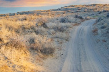 Sonbahar. Steppe. Gün batımı. Kumullar. Bozkırdaki sonbaharın güzelliğini hisset. Kumulların üzerinden güneşin batışını izle. Kendinizi çarpıcı manzaraya daldırın..