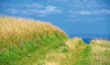 Yaz manzarası. Dünyanın Avrupa bölgesindeki bir nehir. Güneşli sıcak bir gün. Yeşil ağaçlar, çimenler. Mavi gökyüzü küçük bir bulut örtüsüyle.