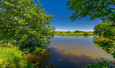Yaz manzarası, bunaltıcı yaz günleri, ılık suyla dolu bir göl, ılık kuzey yarımkürede yaşayan fındık ağacı. Çalılar