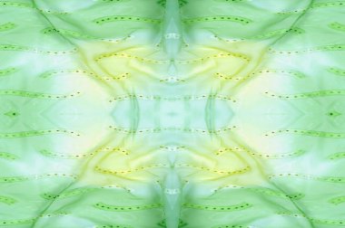 Kusursuz kaleydoskop. Kumaş ipek yeşil-mavi gözlükler. Canlı renkler ve deniz tarağı şekilleri, sarı, mavi ve yeşil geometrik ipek krep de chine renginde gerçekten eşsiz bir krep oluşturur..