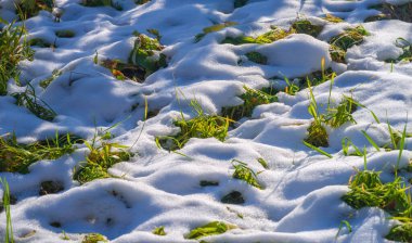 Sonbahar yapraklarının üzerine kar düştü. Mevsimlerin değişimini seviyorum. Sahip olduğumuz her şey için müteşekkir olma zamanı olduğunu biliyorum ve gelecek kışa hazırlanırken ailemizle ve arkadaşlarımızla geçirdiğimiz anların tadını çıkarma zamanı..