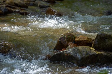 Dağ deresindeki su dengeyi ve uyum sağlayabilirliği temsil eder. Zorlukların üstesinden gelme yeteneğini sembolize eder. Su ileri doğru akar, bir berraklık ve kararlılık yolu yaratır.