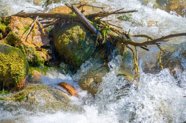 Kendinizi ışıldayan bir dağ deresinin büyüleyici güzelliğine daldırın. Suyun rahatlatıcı ritminde huzur ve iç huzuru bul. Doğanın enerjisini hissedin..