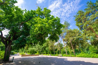 Kendinizi doğanın sükunetine daldırın, bu resim parkında, renkli uzun ağaçlarla süslenmiş. Ve hışırdayan yaprakların rahatlatıcı sesleri senfonin olsun..