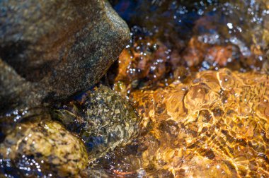 Bir dağ deresinde su. Su ve taşların nefes kesici dansını deneyin. Merhamet ve gücün ahenkli bir birleşimine tanık olun. Suyun ve taşların ahenk içindeki sonsuz güzelliğinden büyülen.