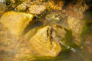 Kendini dağların dokunulmamış doğasına ver. Bir dağ deresinin huzur dolu güzelliğini tecrübe et. Her taşın karmaşık detaylarına ve parıldayan ışık oyununa hayran kal..