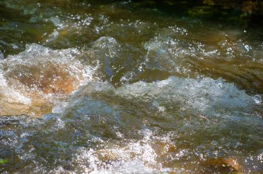 Doğanın iyileştirici gücünü tecrübe et. Kendinle barış ve el değmemiş bir dağ deresinin yumuşak melodilerinde teselli bul. Zihninizi, bedeninizi ve ruhunuzu doğal olarak tazeleyip canlandırın.