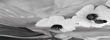 Kusursuz. Kumaşın siyah ve beyaz renkleri flora ve fauna ile işlenmiş. Elbisemi seviyorum. Paramı görebiliyorum. Dolabımda asılı duruyor.