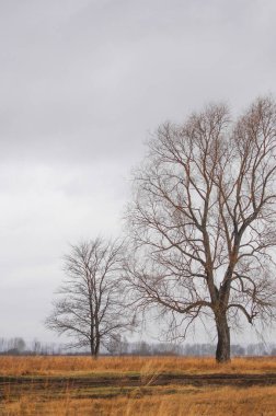Yağmuru kucakla ve baharın taze filizlerinin tadını çıkar. Yağmurlu günlerde evde dinlenmek ya da yaratıcı bir proje üzerinde çalışmak için yararlanın. Yılın bu zamanında açan doğanın güzelliğini takdir et..