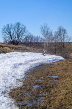 Yeşil ipuçları taşıyan sarı tarlalar. Ağaçlar çıplak. Baharın ilk tomurcuklarını bekliyorum. Kış karının son kalıntıları eriyor..