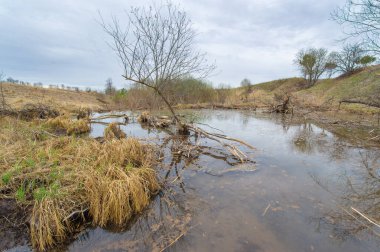 Gizli kunduz banyosu olan gizli bir çöl vahası keşfettim. Doğayla çevrili tam bir rahatlama ve sükunet deneyimi. Doğa Ana 'nın eşsiz odalarının güzelliğini keşfedin.