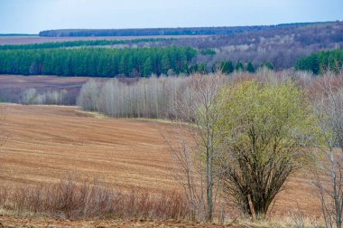 Doğanın gençleşmesini, Bakıcı Dünya hasat mevsiminde tecrübe edin. Meyve vermeye hazırlanan yaşam döngüsüne tanık olun. Toprağın bereketini ve mahsulünü kutlayın..