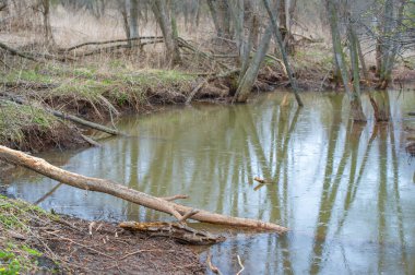 Gizli tarlalar arasındaki vaha cazibesini tecrübe et. Kunduz cenneti ve dingin doğasını keşfedin. Kendini Mistik Göl 'ün barışçıl fısıltılarına bırak..