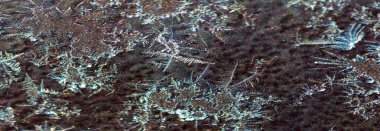 Dağınık. Boya üzerinde soğuk desenler var. Sanat, tecrübe üzerine kalıpların dayatılmasıdır, ve bizim estetik zevkimiz kalıbın tanınmasıdır..