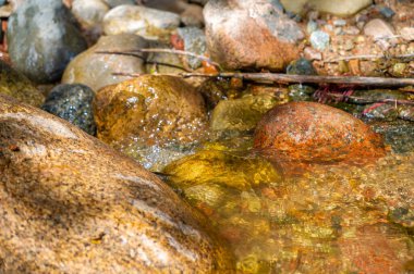 Bir dağ deresinin el değmemiş el değmemiş doğasını tecrübe et. Suyun ritmik dansına tanık olun ve güzelliğine hayran olun. Nehirdeki her kayanın karmaşık detaylarını araştır..