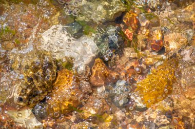 Hareket halindeki Zen 'i keşfedin: Suyun pürüzsüz kayaların üzerinde dans ettiği, iç huzuru aşıladığı bu ışıltılı dağ akışının rahatlatıcı ritminde kendinizi kaybedin. Akan Enerji