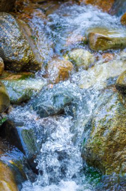 Bir dağ deresinde su. Su ve taşların büyüleyici dansını deneyin. Su ve taşların uyumu seni büyülesin. Bir lütuf ve güç gösterisine tanık olun..