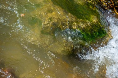 Huzuru ve iç huzuru ışıl ışıl bir dağ deresinin rahatlatıcı sesleriyle tecrübe edin. Suyun yumuşak ritmi stresi ve gerilimi alıp götürsün. Sakinliğini yeniden keşfet.