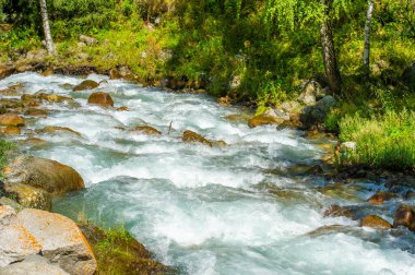 Doğa Senfonisi: Bu dağ deresi, pürüzsüz ve zamansız kayaların üzerinde çağlayarak yemyeşil bir arazide dans ederken büyüleyici bir melodi yaratır. Doğa Serenadı