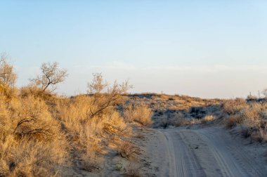 Bozkırdaki sonbaharın güzelliğinin tadını çıkar. Altın kum tepelerinde gün batımını izle. Huzurlu bir sonbahar akşamının dinginliğini ve büyüsünü hisset..