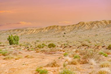 Boguty 'nin Kızıl Dağları. Çöllerin sıkıcı olduğunu mu söyledin? Muhteşem dağların muhteşem manzarasına, zarif bir şekilde duran ağaçlara ve sonsuz altın kuma hayran olmaya hazır olun. Doğa Mükemmelliği