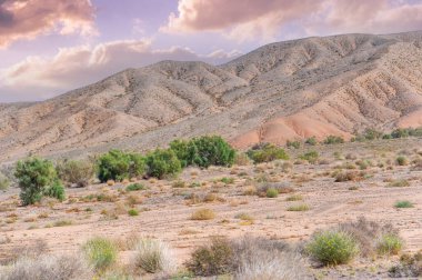 Dağ günbatımının nefes kesici güzelliğinin tadını çıkar. Turuncu ve kırmızının canlı tonlarında parlayan gökyüzüne yemin ederim. Kendini Kızıl Boguty Dağları 'nın görkemli atmosferine daldır..