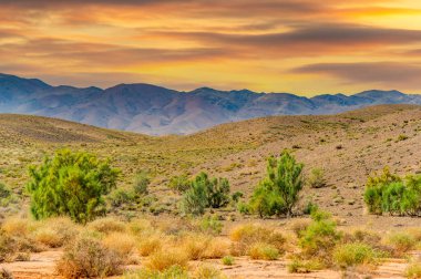 Red Boguty Dağları 'nın nefes kesici güzelliğini tecrübe edin. Sizi dehşete düşürecek çarpıcı bir günbatımına tanık olun. Kendini doğanın şaheserine ver ve iç huzurunu bul..