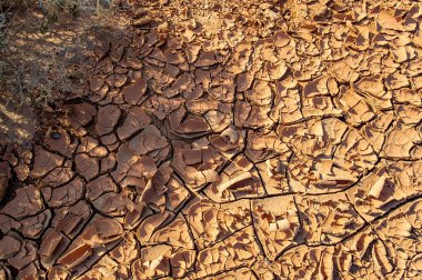 Doku. Kil ve güneşin hüküm sürdüğü bir dünyaya dalın ve çöl ateşli başyapıtını sunsun! Bu çöl kum tepeciğinin nefes kesici manzarasına tanık olun.,