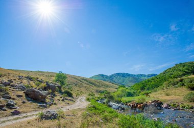 Dağ nehrinin büyüleyici güzelliğinin tadını çıkar. Akan suyun fısıldadığı hikayeleri dinle. Doğayla bağlantı kur ve seni çevreleyen eski büyüyü hisset..