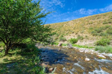 Nehrin dingin akışını görkemli dağlardan hissedin. Kayalık kanyondaki doğanın güzelliğinden esinlenildiğini hisset. Kendini doğanın sükunetine ve mucizesine bırak.