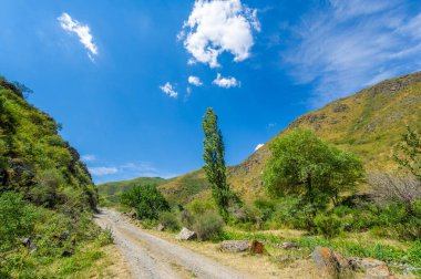 Dağ yolunda araba sürmenin heyecanını yaşayın. Uzak ve engebeli araziyi keşfedin. Sürüş becerilerinizi doğal ortamda test edin