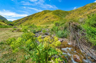 Doğanın güzelliğinin huzurunu hisset. Su ve kayaların uyumlu dengesini keşfedin. Kendini dağ kanyonlarının görkemli manzarasına daldır..